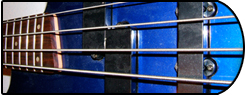 Bass Loops. Our bass loops are generated from digital recordings of our electic and accoustic bass guitars as well as from our large library of synthisized bass sounds