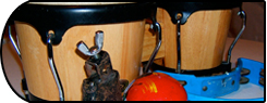 Bongos, Congas, Cowbells, Shakers, Tamborines, all sorts of percusive loops to add a rythmic texture to your production